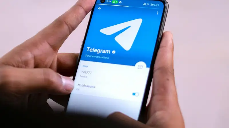 Данные о стране и месяце регистрации: Telegram придумал, как бороться с мошенниками
