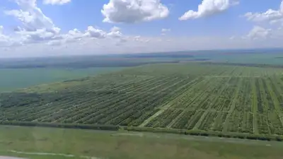 посещению Министром экологии и природных ресурсов зеленной зоны вокруг города Астана, фото - Новости Zakon.kz от 20.07.2024 15:31