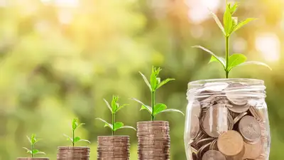 курс валют, фото - Новости Zakon.kz от 20.07.2024 13:42