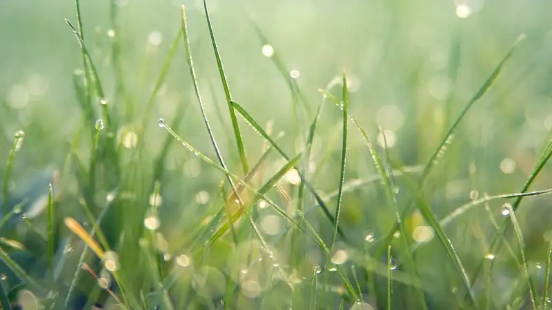 Дожди и град: какая погода ожидает казахстанцев 22 июля