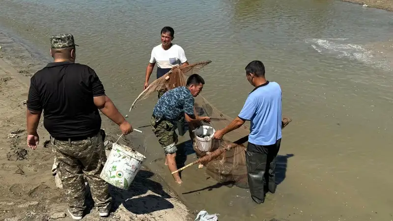 Более 600 кг мальков в Атырауской области спасли и выпустили в реку