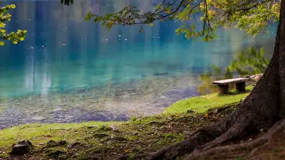 Дрон впервые показал подводный мир Щучьего озера, фото - Новости Zakon.kz от 22.07.2024 13:34