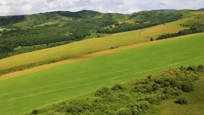 Природа, природа Казахстана, холмы, холмистая местность, поле, поля, туризм, ВКО, Восточно-Казахстанская область, лето, фото - Новости Zakon.kz от 30.07.2024 14:37