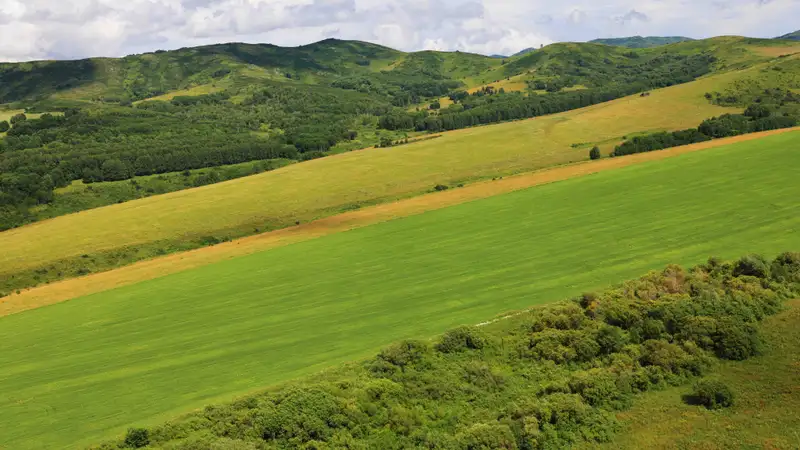 Японские эксперты испытали гидротехнические сооружения в Казахстане