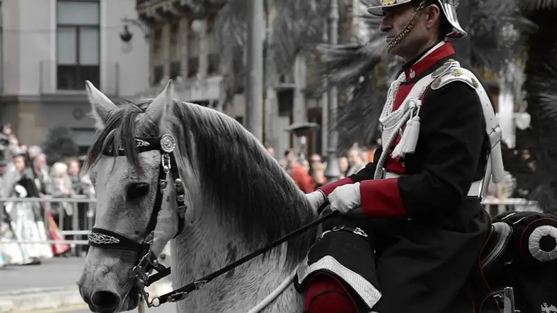 Лошадь королевской гвардии укусила туристку в Лондоне