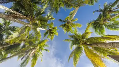 Специалисты рассказали, как защититься от инфекций в сезон отпусков, фото - Новости Zakon.kz от 22.07.2024 06:42