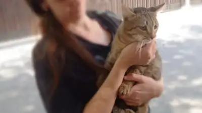 Животное , фото - Новости Zakon.kz от 23.07.2024 22:00