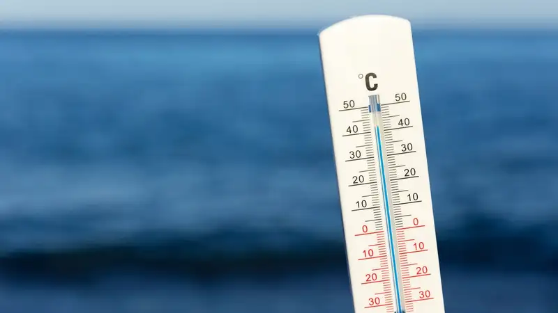 Январь 2025 года стал самым жарким в истории, превзойдя все ожидания ученых