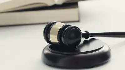 В ВКО осудили чиновников за незаконное предпринимательство, фото - Новости Zakon.kz от 23.07.2024 16:36