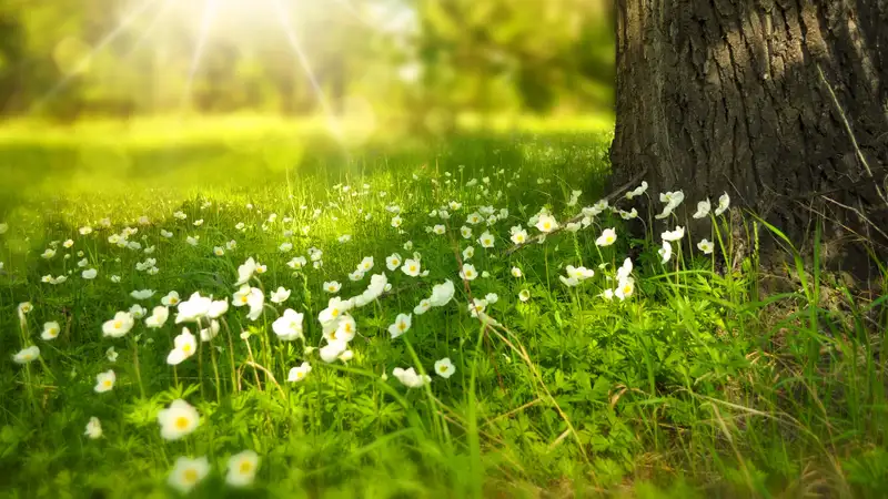 Синоптики озвучили трехдневный прогноз погоды по Астане, Алматы и Шымкенту