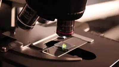 , фото - Новости Zakon.kz от 27.06.2025 15:46