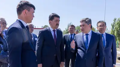 Проверил работы по восстановлению сгоревшего соснового бора в &quot;Семей орманы&quot;, фото - Новости Zakon.kz от 26.07.2024 14:23