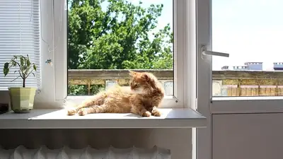 штормовое предупреждение, фото - Новости Zakon.kz от 26.07.2024 20:11