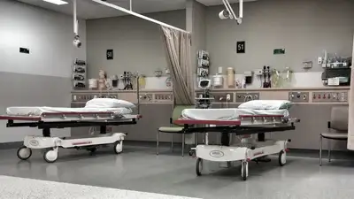 В Бразилии зафиксированы первые смерти от лихорадки Оропуш, фото - Новости Zakon.kz от 26.07.2024 09:12