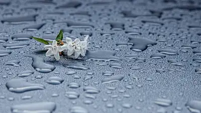 Сильные дожди надвигаются на Казахстан, фото - Новости Zakon.kz от 26.07.2024 13:26