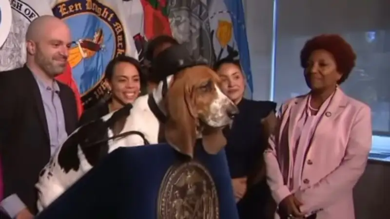 Жители Нью-Йорка выбирают почетного мэра города среди собак