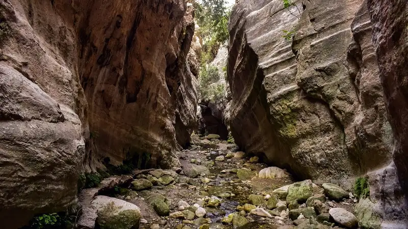 Спасатели пришли на помощь туристам, застрявшим в ущелье в Жетысуской области