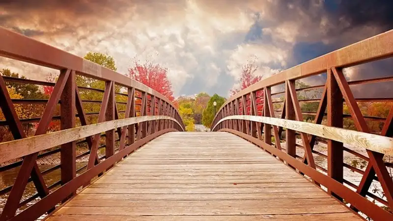 Уборочная в Акмолинской области оказалась под угрозой срыва