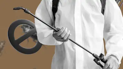 В Шымкенте начали борьбу с каракуртами, фото - Новости Zakon.kz от 06.08.2024 18:49