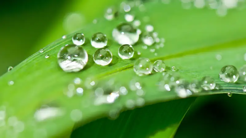 Температурный рекорд 32-летней давности побил дождливый июль в Казахстане