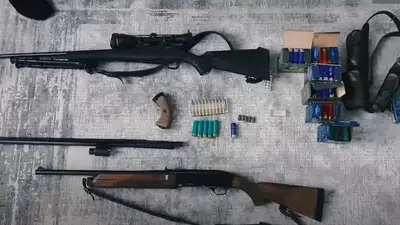 МВД, криминальная обстанова, борьба с преступными группами, фото - Новости Zakon.kz от 09.08.2024 09:42