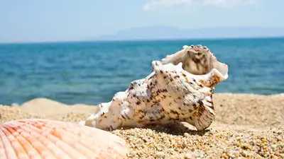 Капчагай, Алаколь и Балхаш: талдыкорганец сравнил пляжные зоны отдыха, фото - Новости Zakon.kz от 12.08.2024 14:43