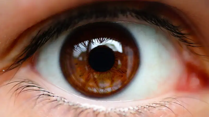 Можно ли купаться и принимать душ в контактных линзах, рассказали врачи