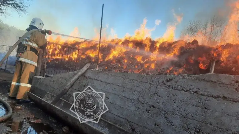 Тысячи тюков сена сгорели в Туркестанской области