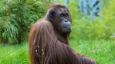 Зоопарк, фото - Новости Zakon.kz от 14.08.2024 06:46