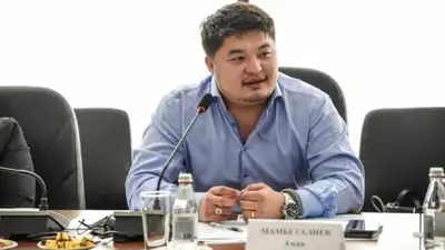 Итоги исполнения озвученных в Послании президента поручений подвел политолог , фото - Новости Zakon.kz от 14.08.2024 13:05