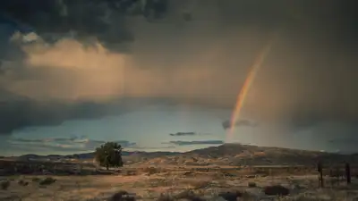 Дожди с грозами, градом и шквалом надвигаются на Казахстан, фото - Новости Zakon.kz от 14.08.2024 17:57