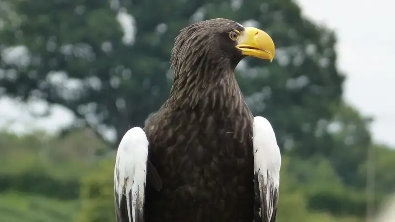 О многодетных старожилах впервые рассказали в зоопарке Алматы