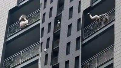 спасение девушки в Астане, фото - Новости Zakon.kz от 17.08.2024 12:40