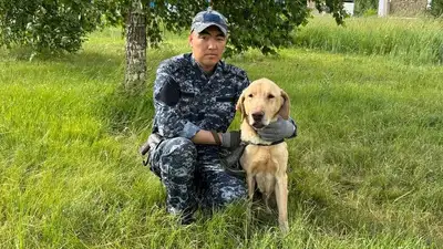 Полиция, фото - Новости Zakon.kz от 19.08.2024 21:33