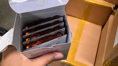 80 тысяч ампул медикаментов неизвестного происхождения пытались ввезти в Казахстан, фото - Новости Zakon.kz от 22.08.2024 09:26