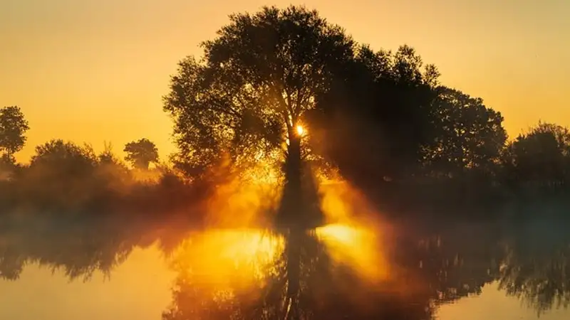 Туман, гроза и сильный ветер: в 15 областях РК объявили штормовое предупреждение