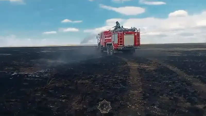 Тракториста наказали за поджог степи во время работы в "Семей орманы"