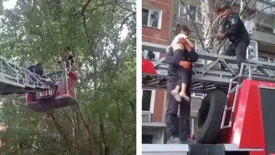 спасатели помогли девочке в Усть-Каменогорске, фото - Новости Zakon.kz от 27.08.2024 20:26