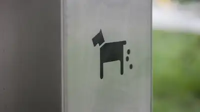 В Павлодаре мужчина закидал знакомую фекалиями, фото - Новости Zakon.kz от 28.08.2024 11:28