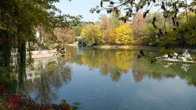 Осень, осенняя погода, желтые листья, листопад, осенний сезон, лес, осенний лес, парк, осенний парк, парк осенью, фото - Новости Zakon.kz от 26.09.2024 16:04