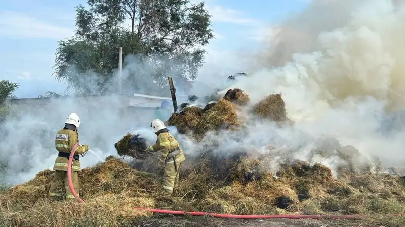 Сено горело в трех областях Казахстана
