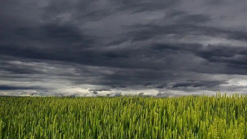 Штормовое предупреждение объявили в 15 областях Казахстана