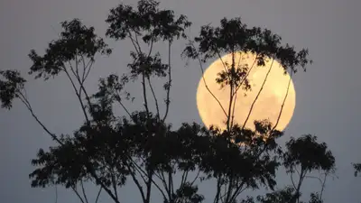 Луна, суперлуние, , фото - Новости Zakon.kz от 30.08.2024 09:02