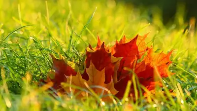 Знаки зодиака, фото - Новости Zakon.kz от 01.09.2024 07:40