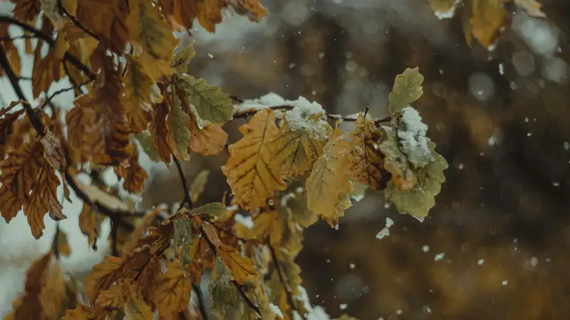 Зима не по расписанию: снег ожидается в Казахстане 3 сентября