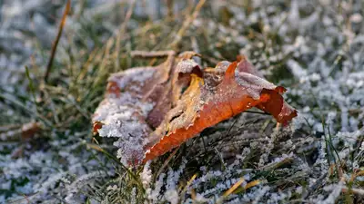 Заморозки, шквал и грозы: в Астане и 12 областях объявлено штормовое предупреждение, фото - Новости Zakon.kz от 03.09.2024 23:40