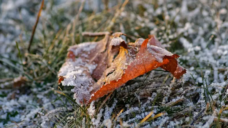 Заморозки, шквал и грозы: в Астане и 12 областях объявлено штормовое предупреждение