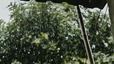 штормовое предупреждение, фото - Новости Zakon.kz от 04.09.2024 20:01