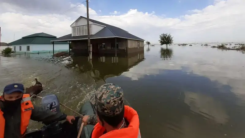 Компенсация потерь предпринимателям из-за паводков: разработаны изменения