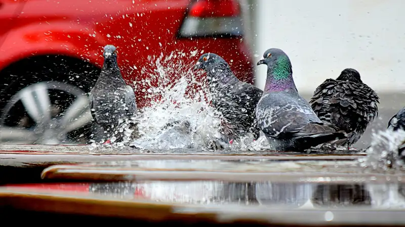 Погода на неделю в Алматы: после дождя и похолодания в город вернется тепло